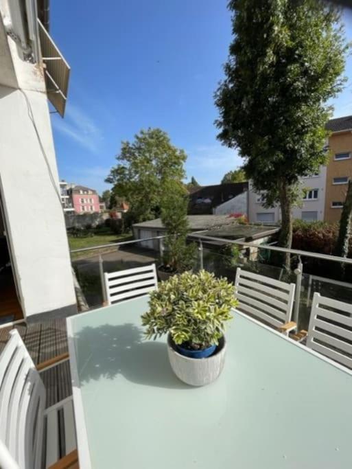 Apartament Le 40 Sarreguemines Zewnętrze zdjęcie